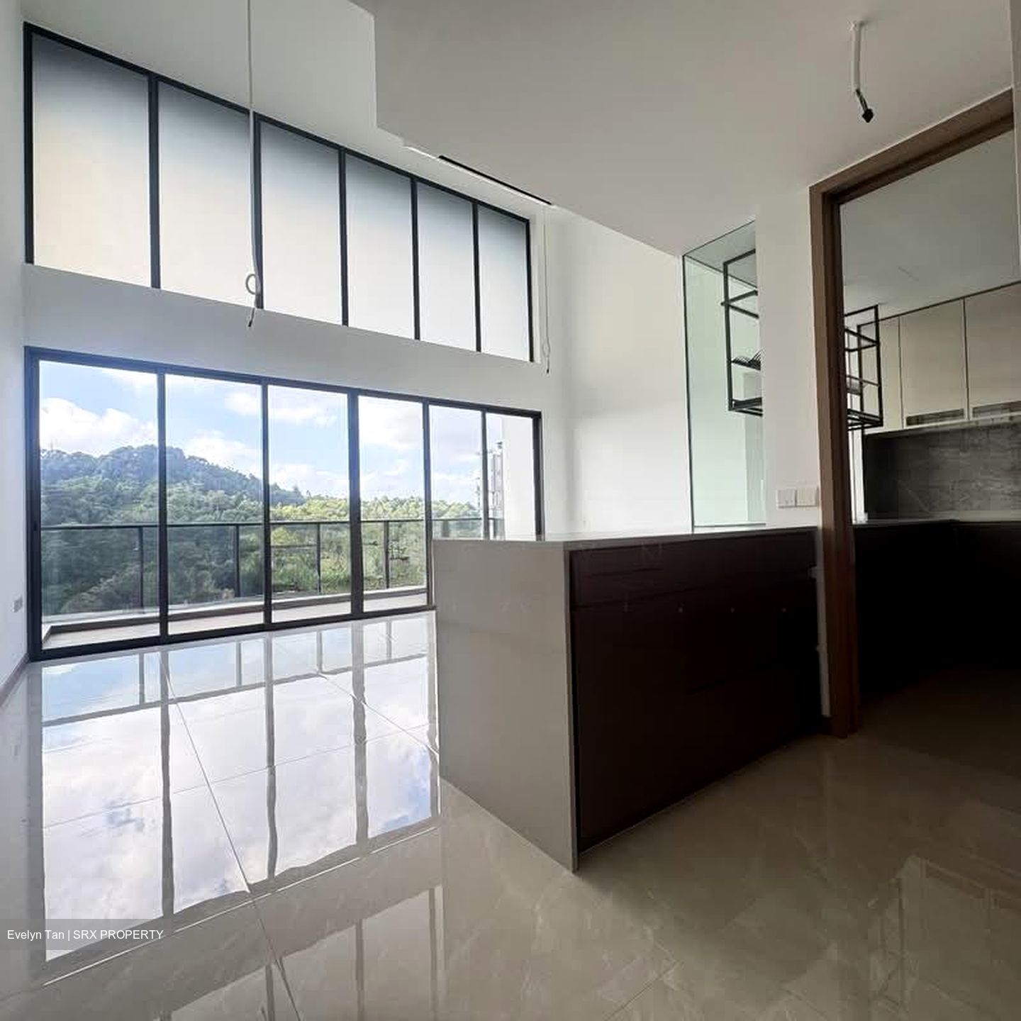 The Botany At Dairy Farm (D23), Condominium #537889881